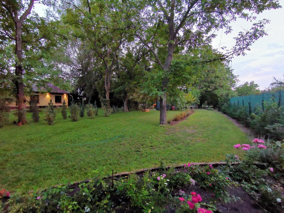 Szent Erzsebet Apartmanhaz Kecskemét Exterior foto